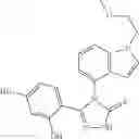 Fig. 15 - COMBINATION THERAPY OF HSP90 INHIBITORY COMPOUNDS WITH CHK INHIBITORS