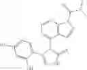 Fig. 19 - COMBINATION THERAPY OF HSP90 INHIBITORY COMPOUNDS WITH CHK INHIBITORS
