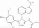 Fig. 28 - COMBINATION THERAPY OF HSP90 INHIBITORY COMPOUNDS WITH CHK INHIBITORS