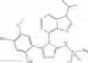 Fig. 31 - COMBINATION THERAPY OF HSP90 INHIBITORY COMPOUNDS WITH CHK INHIBITORS