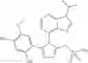 Fig. 32 - COMBINATION THERAPY OF HSP90 INHIBITORY COMPOUNDS WITH CHK INHIBITORS