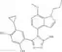 Fig. 70 - COMBINATION THERAPY OF HSP90 INHIBITORY COMPOUNDS WITH CHK INHIBITORS