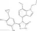 Fig. 71 - COMBINATION THERAPY OF HSP90 INHIBITORY COMPOUNDS WITH CHK INHIBITORS