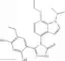 Fig. 83 - COMBINATION THERAPY OF HSP90 INHIBITORY COMPOUNDS WITH CHK INHIBITORS