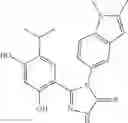 Fig. 97 - COMBINATION THERAPY OF HSP90 INHIBITORY COMPOUNDS WITH CHK INHIBITORS