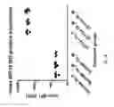 Fig. 07 - Non-Invasive Imaging Methods for Patient Selection for Treatment with Nanoparticulate Therapeutic Agents