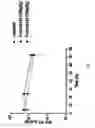 Fig. 08 - Non-Invasive Imaging Methods for Patient Selection for Treatment with Nanoparticulate Therapeutic Agents