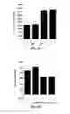 Fig. 07 - Non-reducing end unsaturated mannuronic acid oligosaccharides and compositions containing same as active ingredient