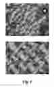 Fig. 02 - Bioactive glass microspheres