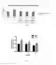 Fig. 06 - Method for lymph drainage