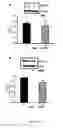 Fig. 13 - Method for lymph drainage