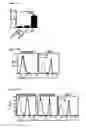 Fig. 06 - DISLODGEMENT AND RELEASE OF HSC USING ALPHA 9 INTEGRIN ANTAGONIST AND CXCR4 ANTAGONIST