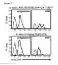 Fig. 16 - DISLODGEMENT AND RELEASE OF HSC USING ALPHA 9 INTEGRIN ANTAGONIST AND CXCR4 ANTAGONIST