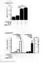 Fig. 22 - DISLODGEMENT AND RELEASE OF HSC USING ALPHA 9 INTEGRIN ANTAGONIST AND CXCR4 ANTAGONIST