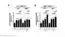 Fig. 01 - CYCLIC PEPTIDE SPECIFICALLY BINDING TO APOPTOTIC CELLS AND USE THEREOF