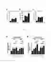 Fig. 02 - CYCLIC PEPTIDE SPECIFICALLY BINDING TO APOPTOTIC CELLS AND USE THEREOF
