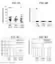 Fig. 07 - Methods for treating systemic lupus erythematosus with an anti-apolipoprotein B antibody