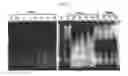 Fig. 10 - Compositions for immunising against 