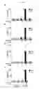Fig. 07 - Immunization agents and methods of use
