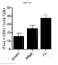 Fig. 32 - Contructs for enhancing immune responses
