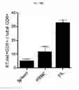 Fig. 33 - Contructs for enhancing immune responses
