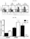 Fig. 35 - Contructs for enhancing immune responses