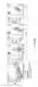 Fig. 09 - Anti-TIGIT antigen-binding proteins and methods of use thereof
