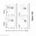 Fig. 43 - Anti-TIGIT antigen-binding proteins and methods of use thereof