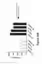 Fig. 49 - Anti-TIGIT antigen-binding proteins and methods of use thereof