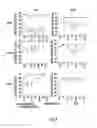 Fig. 04 - Efficient delivery of therapeutic molecules in vitro and in vivo