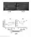 Fig. 07 - Efficient delivery of therapeutic molecules in vitro and in vivo