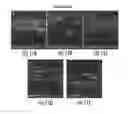 Fig. 10 - Efficient delivery of therapeutic molecules in vitro and in vivo