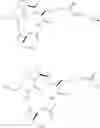 Fig. 07 - Intra-operative imaging
