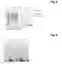 Fig. 04 - Target molecule capture from crude solutions