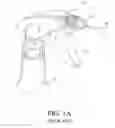 Fig. 02 - Spray nozzle for high viscosity spray applications with uniform spray distribution