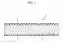 Fig. 02 - Electrical steel sheet