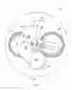 Fig. 06 - Adjustable stroke mechanism for random orbital machine