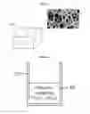 Fig. 02 - Porous structure and method of fabricating the same