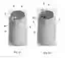 Fig. 06 - STRUCTURAL ARRANGEMENT IN A SEAL FOR BEVERAGE CONTAINERS
