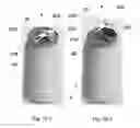Fig. 17 - STRUCTURAL ARRANGEMENT IN A SEAL FOR BEVERAGE CONTAINERS