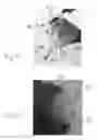 Fig. 06 - SEALABLE PIPING BAGS