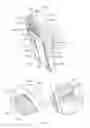Fig. 03 - Child-resistant smoking article package