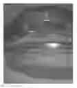Fig. 01 - Tray-shaped article having smooth edges and amenable to multiple film sealing methods