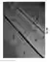 Fig. 29 - Tray-shaped article having smooth edges and amenable to multiple film sealing methods