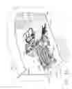 Fig. 41 - PLC controlled robotic carton unloader
