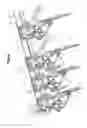 Fig. 06 - Feed appliance for feeding products onto a further-processing appliance