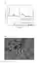 Fig. 02 - Porous hollow shell WO/WSnanomaterial and method of preparing same