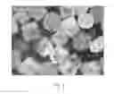Fig. 02 - Production of rounded salt particles