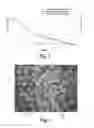 Fig. 03 - Method for producing a pore-containing opaque quartz glass