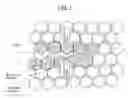 Fig. 02 - A METHOD FOR PROCESSING ZIRCONIA